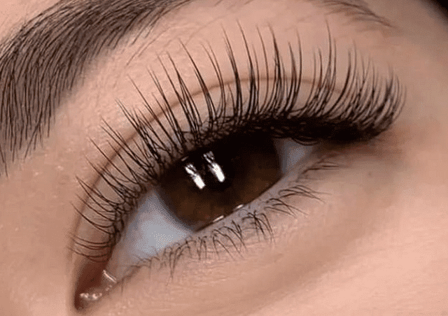 Close-up of an eye with long, defined eyelashes and a well-groomed eyebrow.